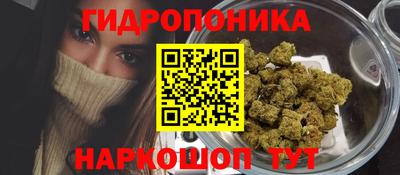 крисы Обь