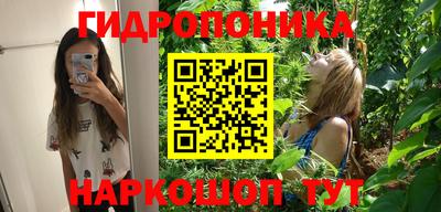 крисы Обь