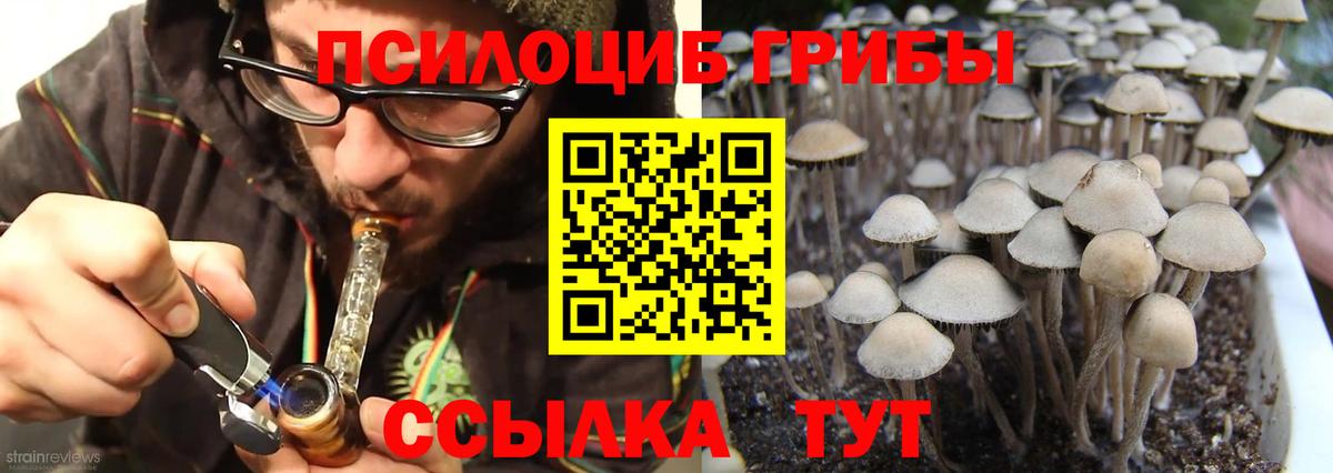 Галлюциногенные грибы Psilocybine cubensis Спасск-Дальний