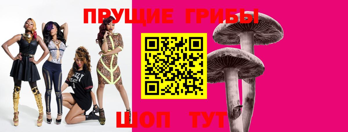 Спасск-Дальний  Галлюциногенные грибы прущие грибы  Вход с VPN 